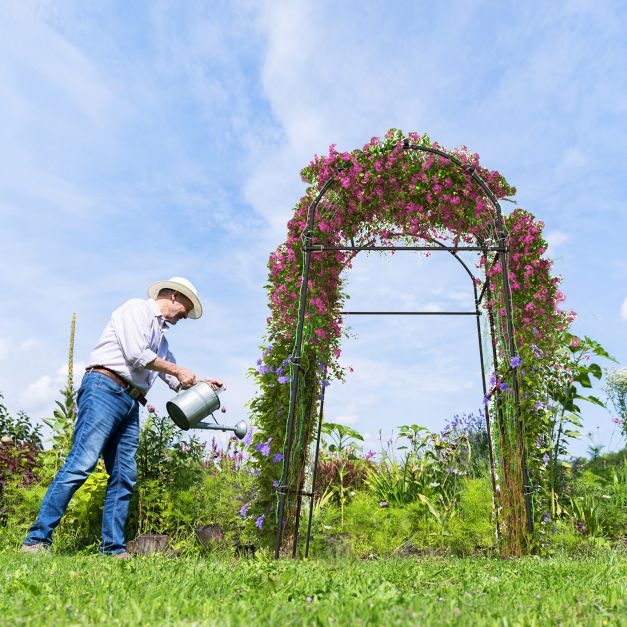 Step-by-step Guide to Using a Garden Cucumber Trellis