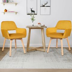 2 Pieces Retro Styled Velvet Chairs