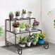 3 Tier Plant Ladder Stand Display