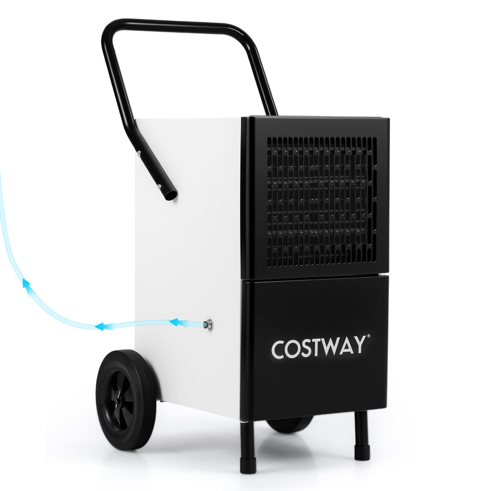 80L/Day Commercial Dehumidifier with Built-in Water Pump — image 3