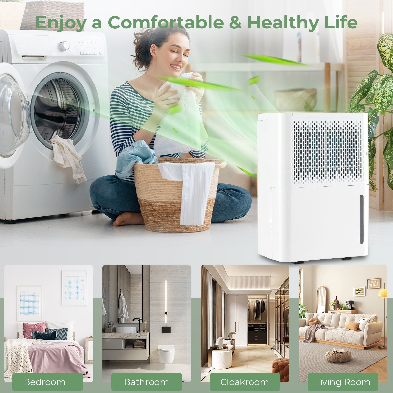 12L/Day Dehumidifier with Continuous Drying Auto Mode and 24H Timer — image 3