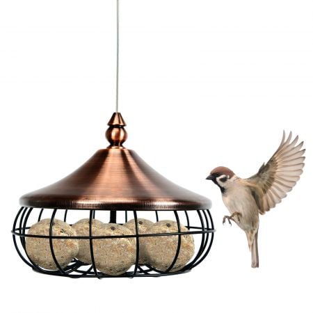 Hanging suet fat ball feeder showcasing a decorative metallic lid, ideal for attracting wild birds in your outdoor.