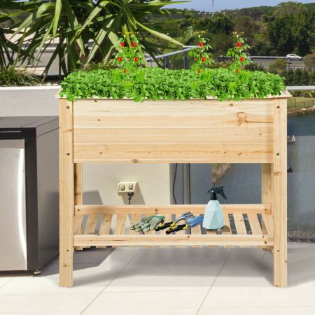 Raised Wooden Planter and Tray