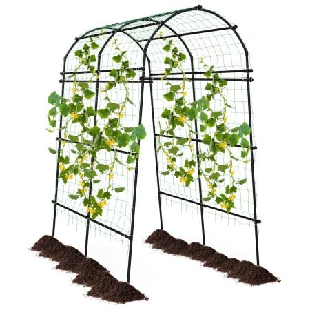 Garden arch trellis made of PE coated metal, ideal for climbing plants like cucumbers and grapes, ensuring stability.