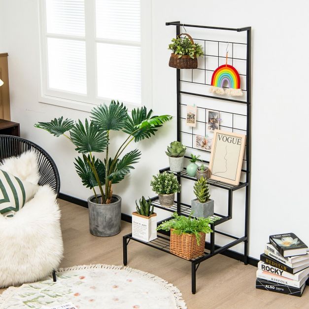 are rattle snake plants pet safe Calathea Rattlesnake