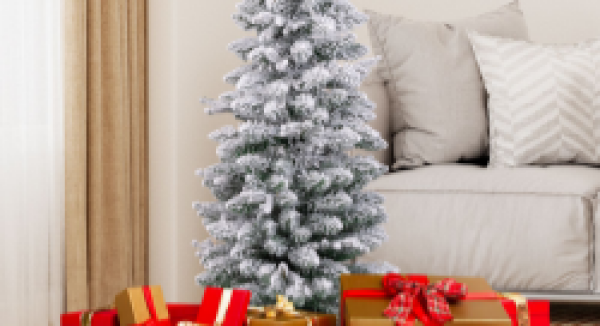 A Christmas tree is placed in the room as decoration