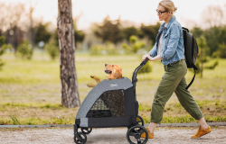 A woman is pushing a pet stroller along the road