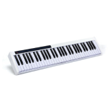 Pianos & Keyboards