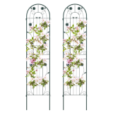 Plant Supports